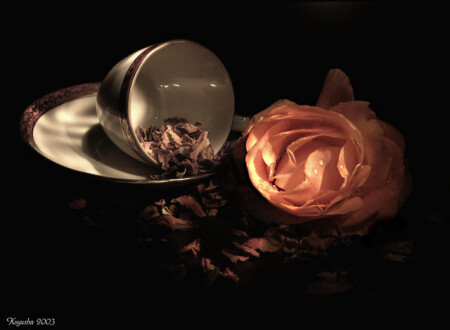Morning Rose Tea