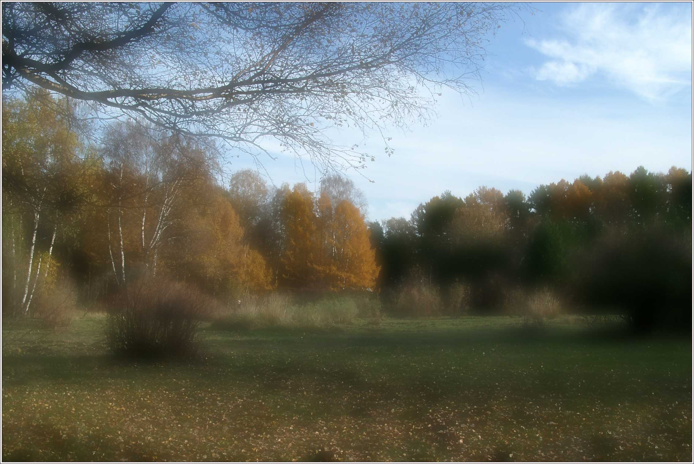 Осенний пейзаж