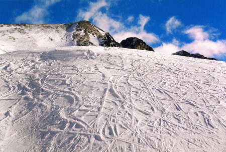 Присутствие 2