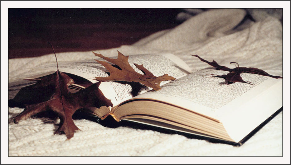 открытая книга