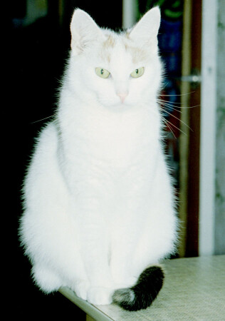 Не отрывая взгляда