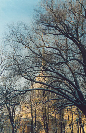 Взгляд со стороны