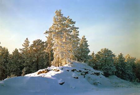 В лучах заката