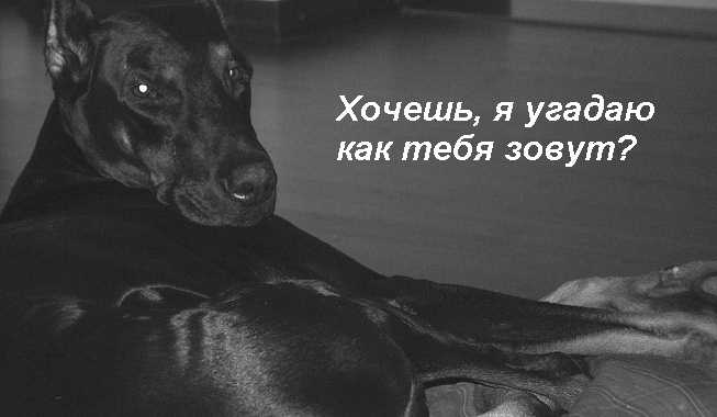 Хочешь, угадаю...?