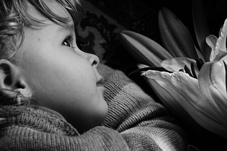 В ожидании весны