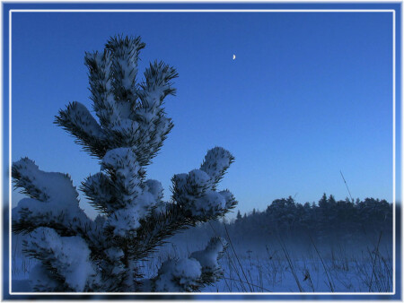 Уж вскоре мгла накроет землю