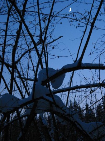 Неволя