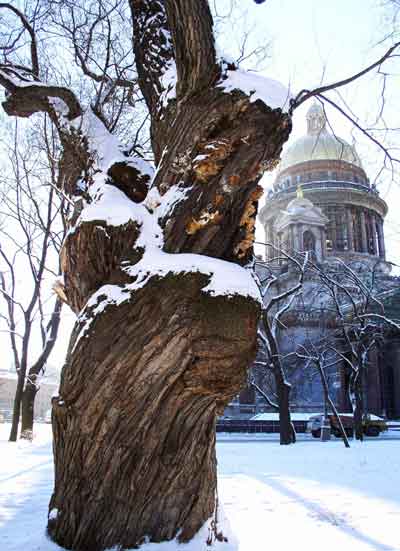 Ровесники