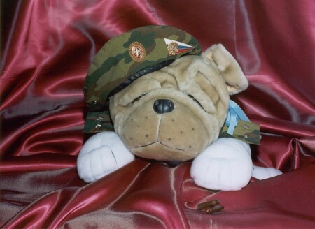 Мой любимый ЗАЩИТНИК!