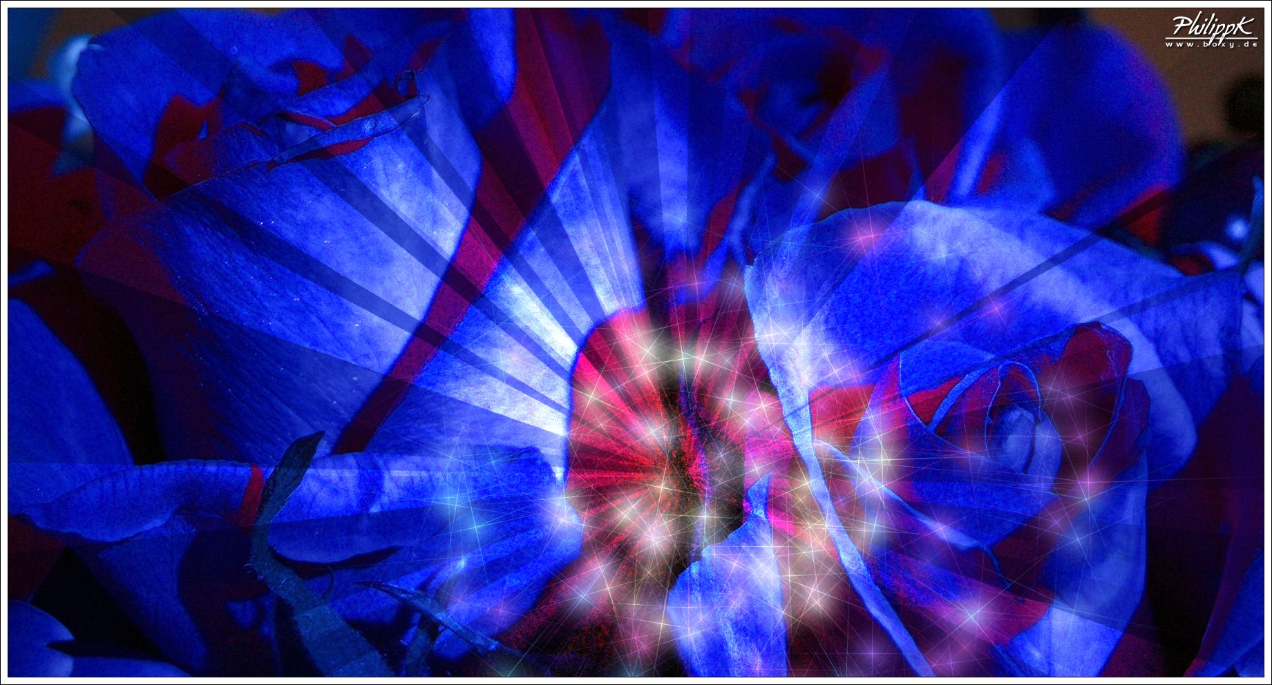 MAGIC LIGHT