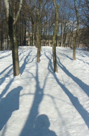 На прогулке