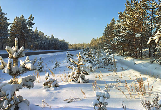 Дорога