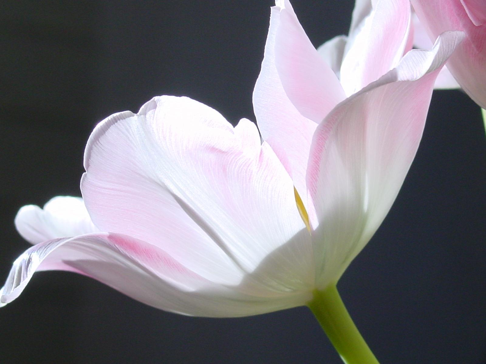 For you