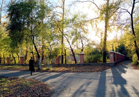 Золотая осень