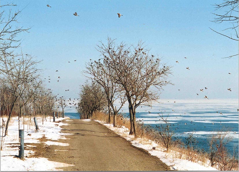 зима в Одессе