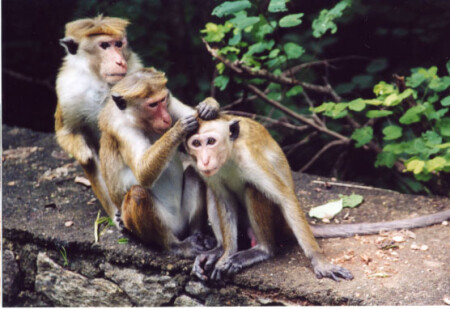 На первое свидание