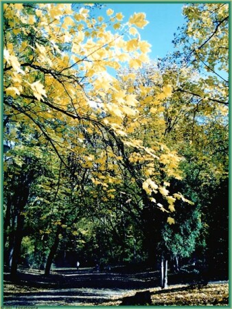 Аллея