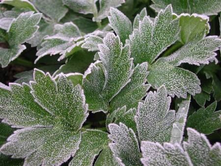 уж осень близится...