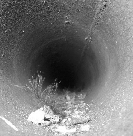 Жизнь в трубе