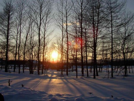 Домик у дороги