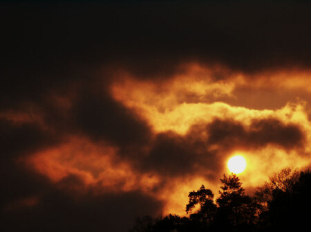 Apocalyptica solari