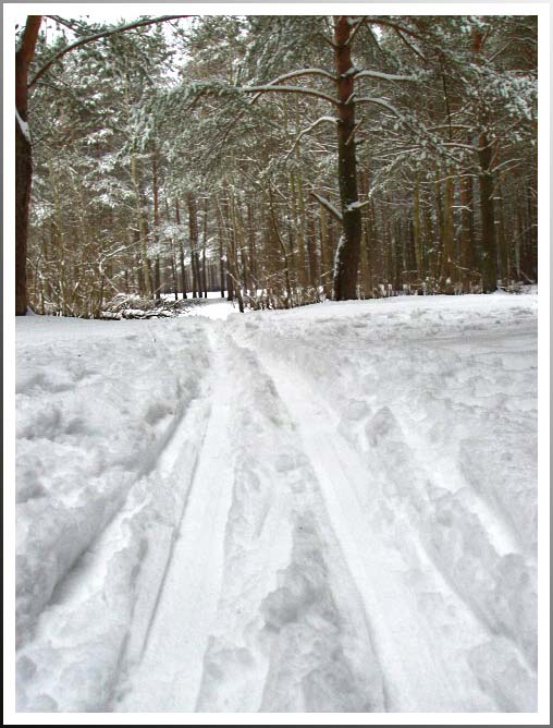 Лыжня