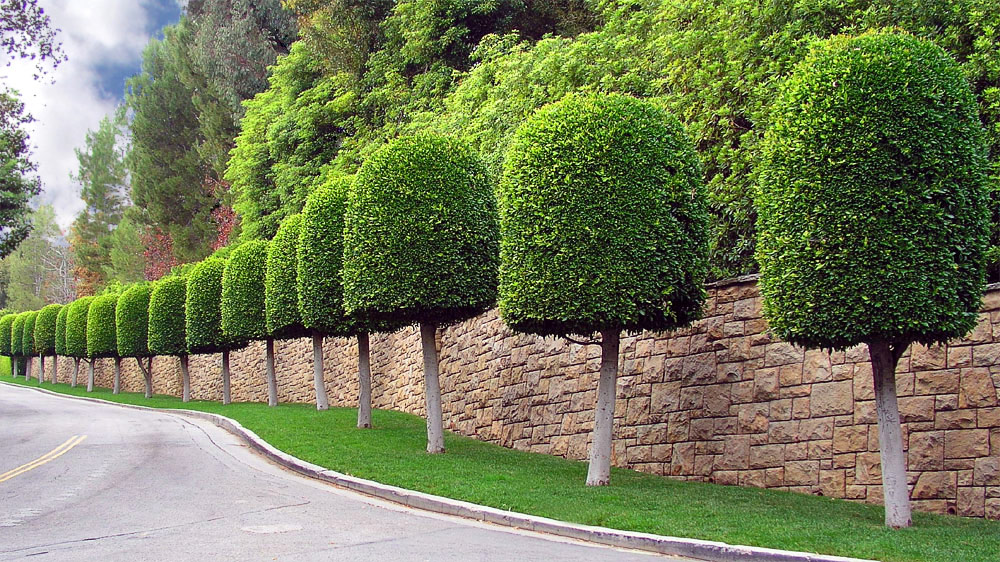 bel-air