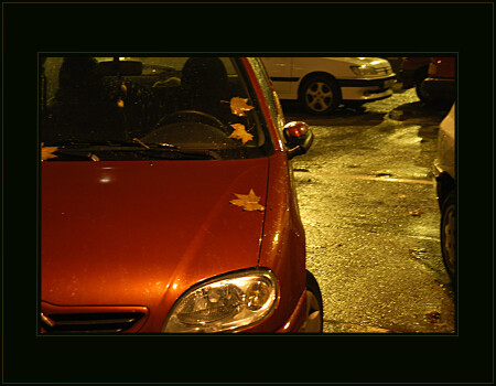 Вечернее золото