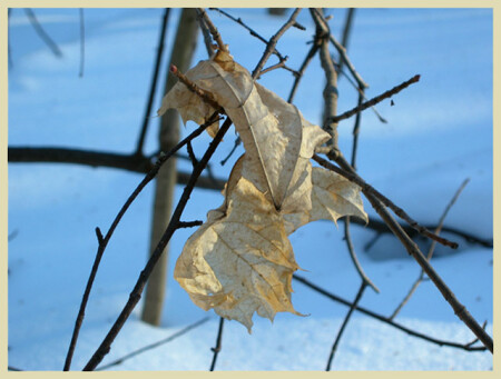 воспоминание об осени - 1