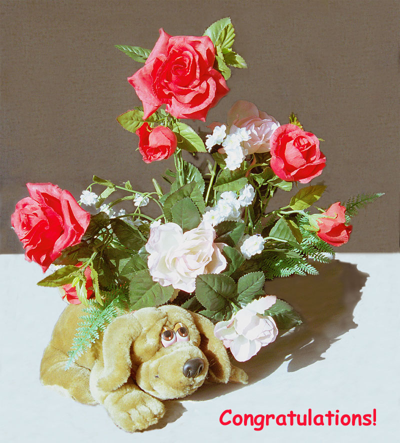 Congratulations(2)