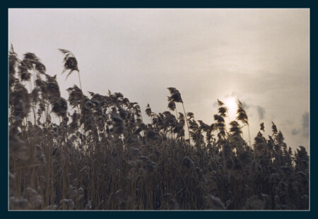 Без слова мысль, волненье без названья...