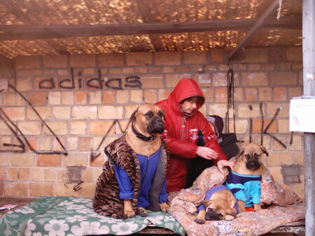 АДИДАС