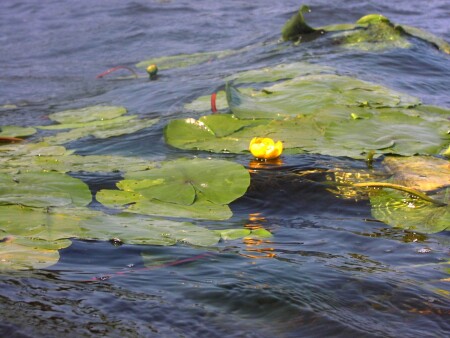 Штормит однако.....