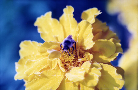 &quot;А мне и в жаруработать надо!&quot;