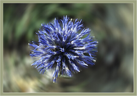 ОСЬ. ВРАЩЕНИЕ.