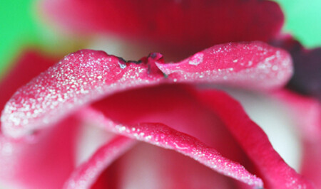  Без названия IV