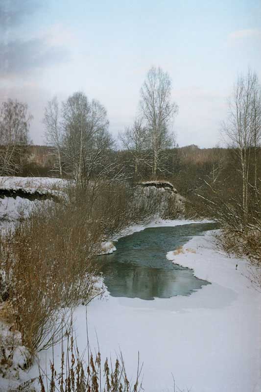 Полынья