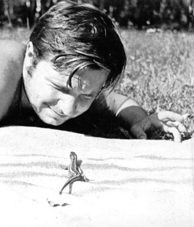 глаза в глаза