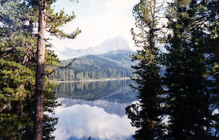 Горное заркало