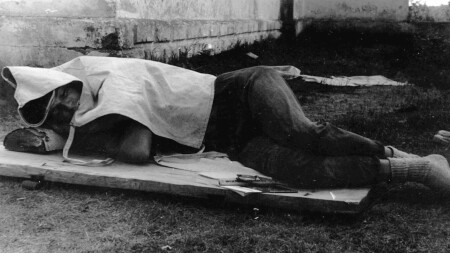 сон в летнюю ночь...