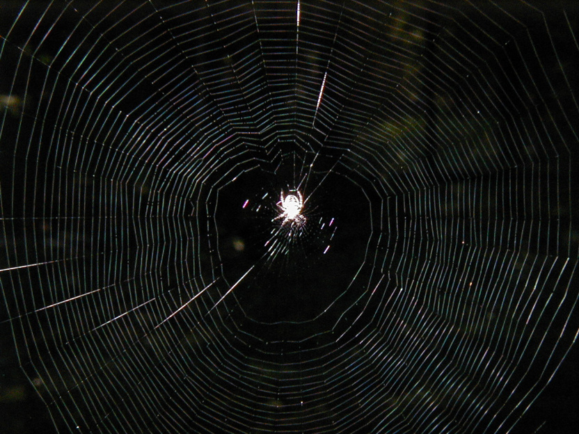 On the web