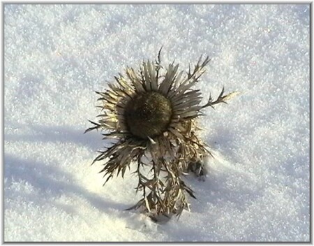 память о прошедшем лете