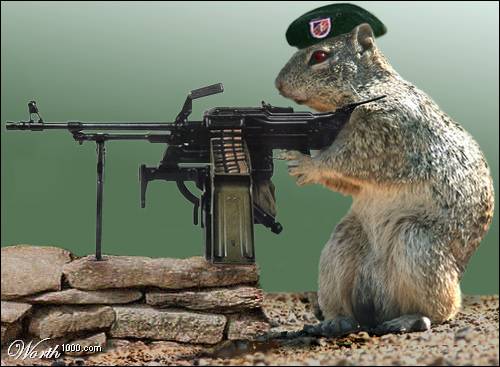 US Army reserve