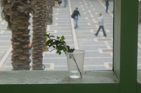 И всеравно я выживу!!!