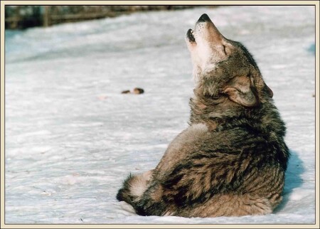 Все не так, ребята!