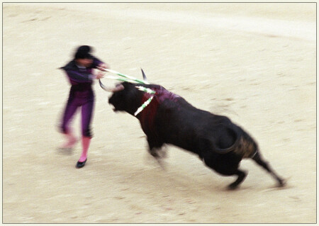 динамичный фрагмент новиллады