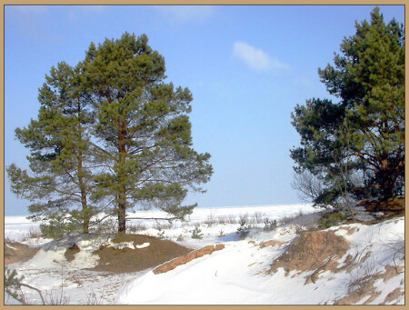 в дюнах_1