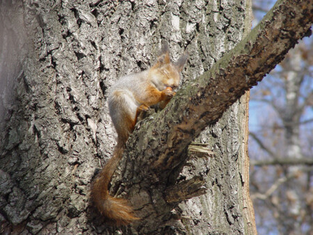 Весна...для всех весна