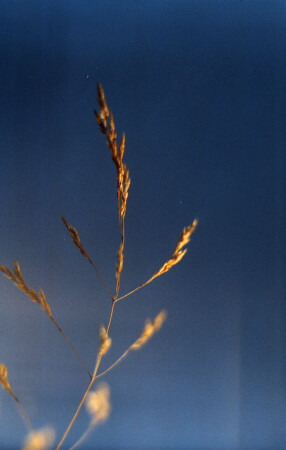 Бесконечность