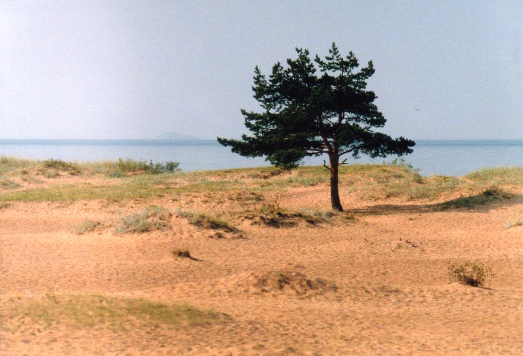 coast